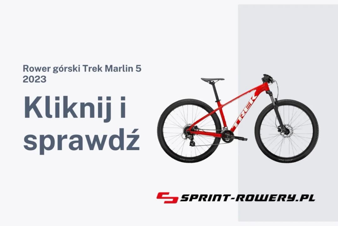 Ile kosztuje rower? Ceny modeli i przydatne wskazówki przy zakupie