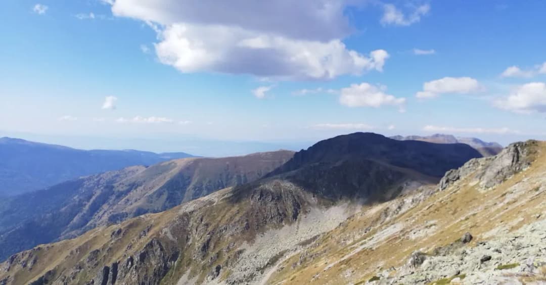 Top 5 filmów animowanych motywujących do jazdy na rowerze